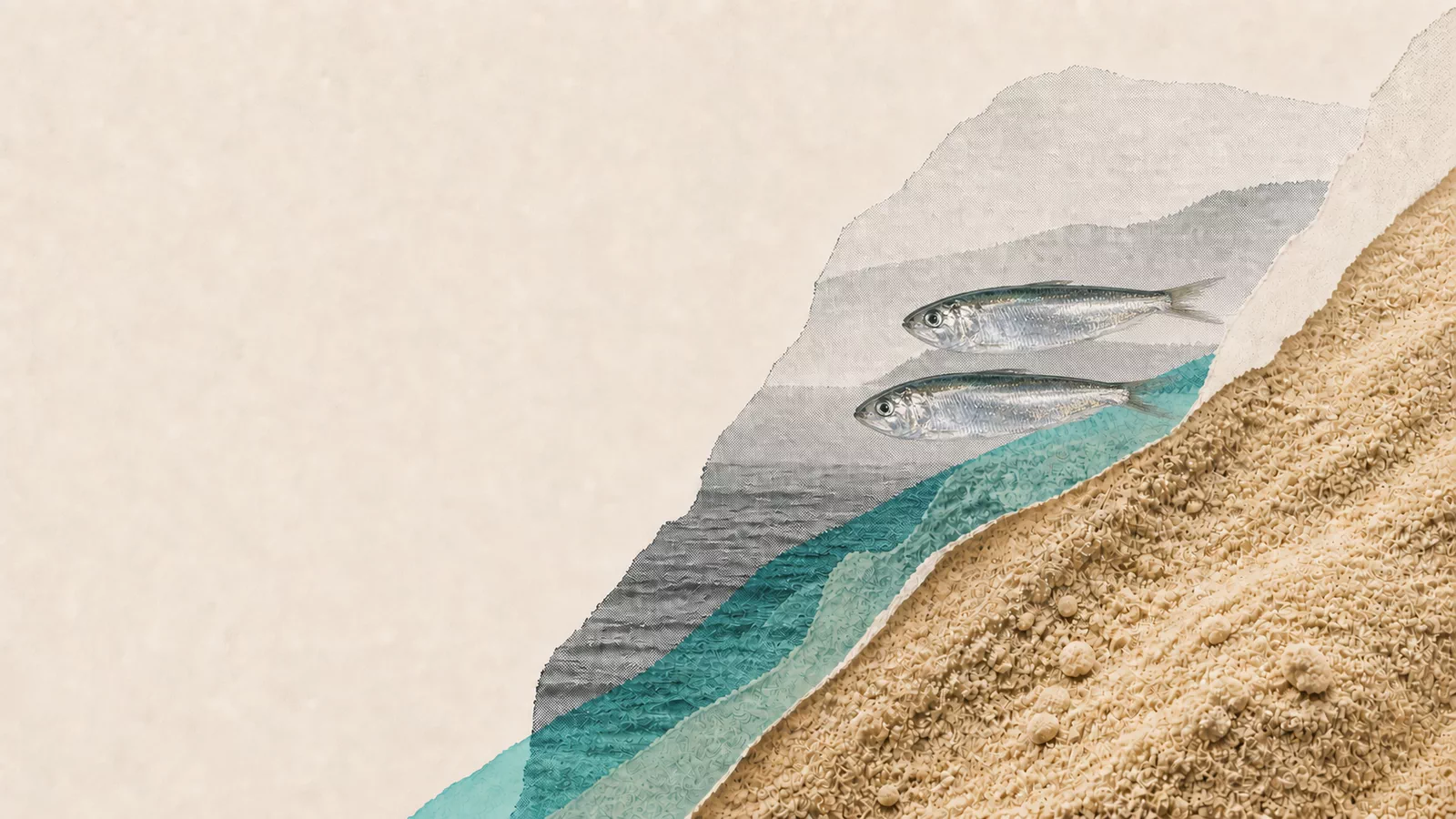 Fishmeal and two Caspian sprat